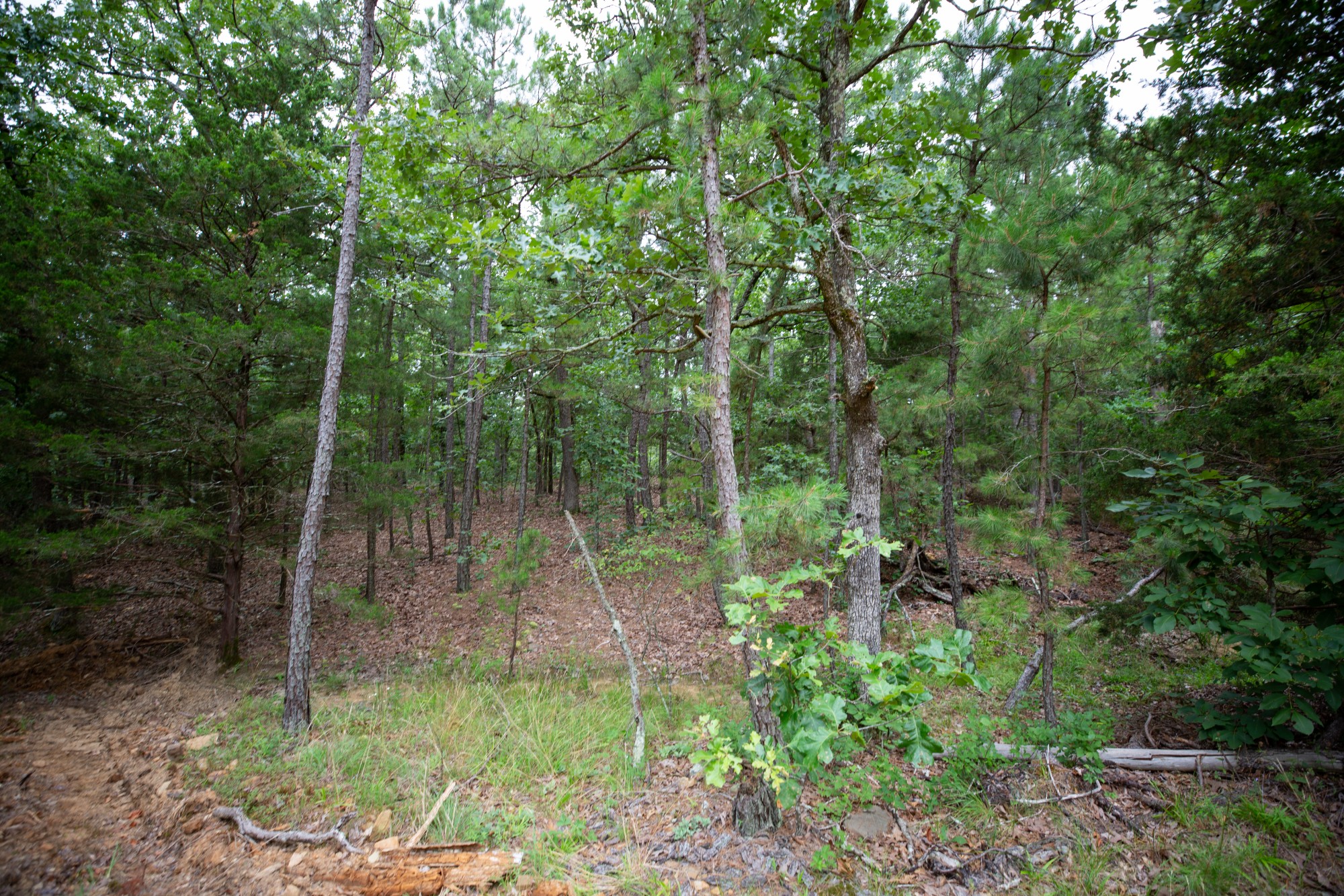 Tract 75 at Eagles Nest Ranch in Pushmataha County, Oklahoma