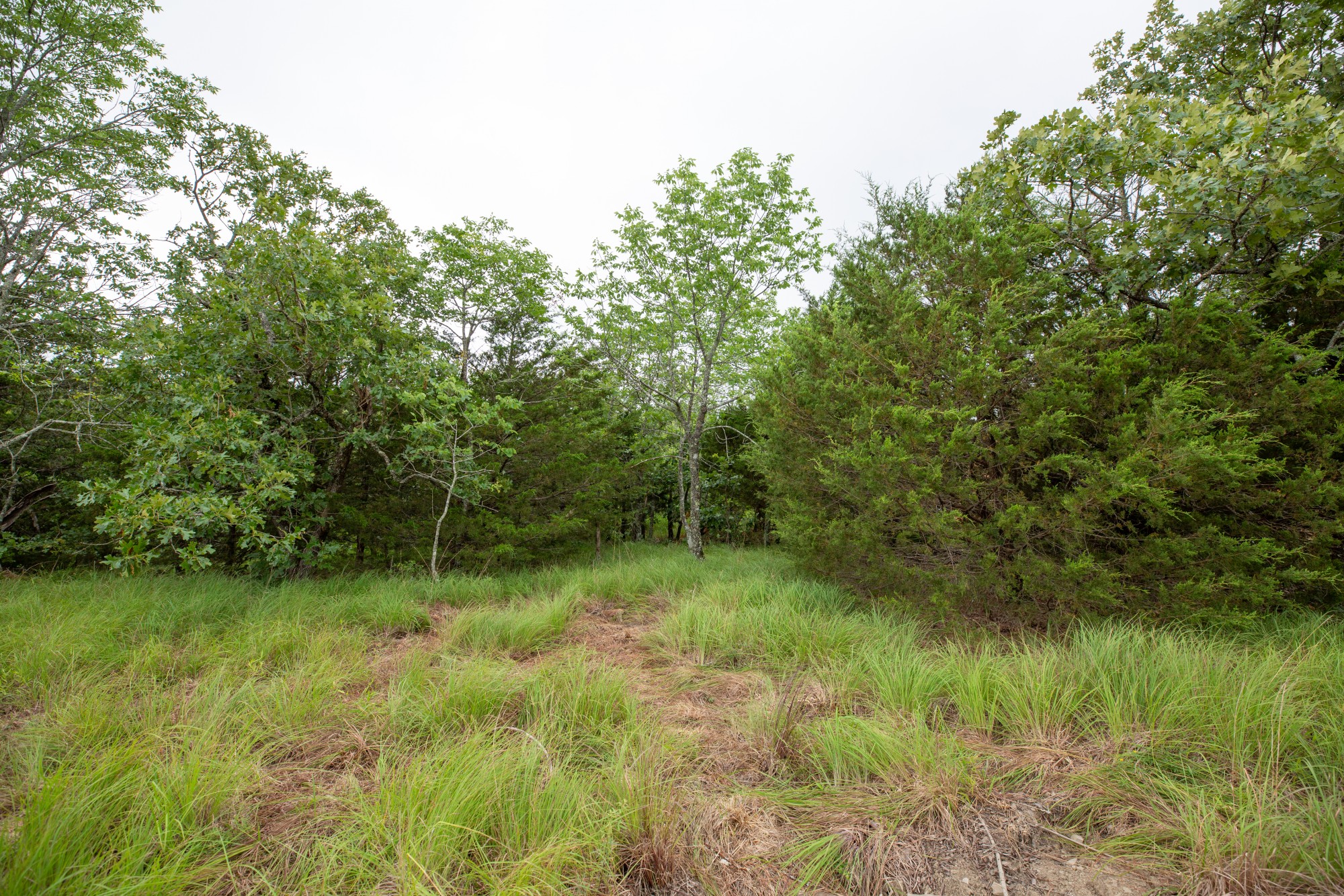 Tract 76 at Eagles Nest Ranch in Pushmataha County, Oklahoma