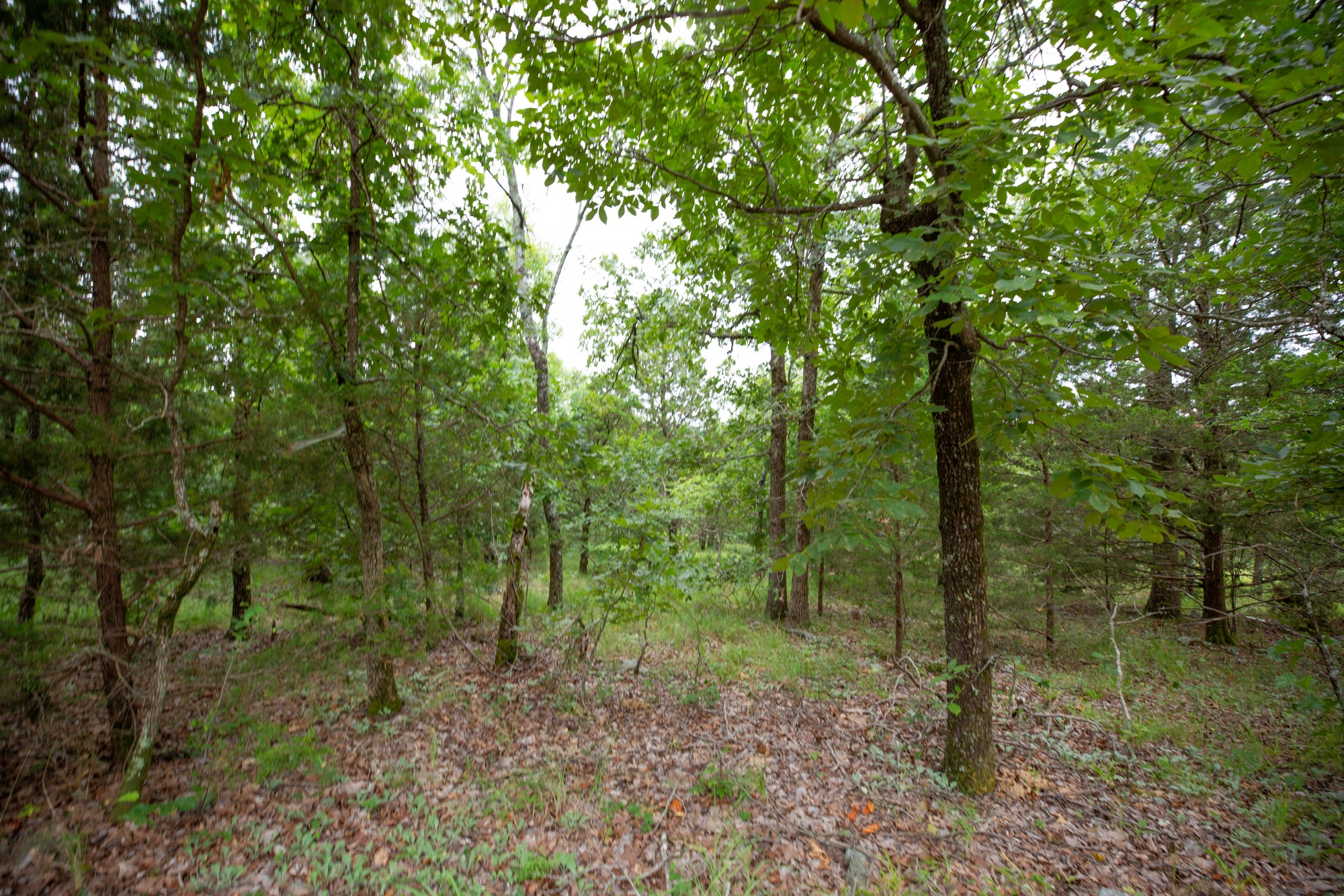 Tract 79 at Eagles Nest Ranch in Pushmataha County, Oklahoma
