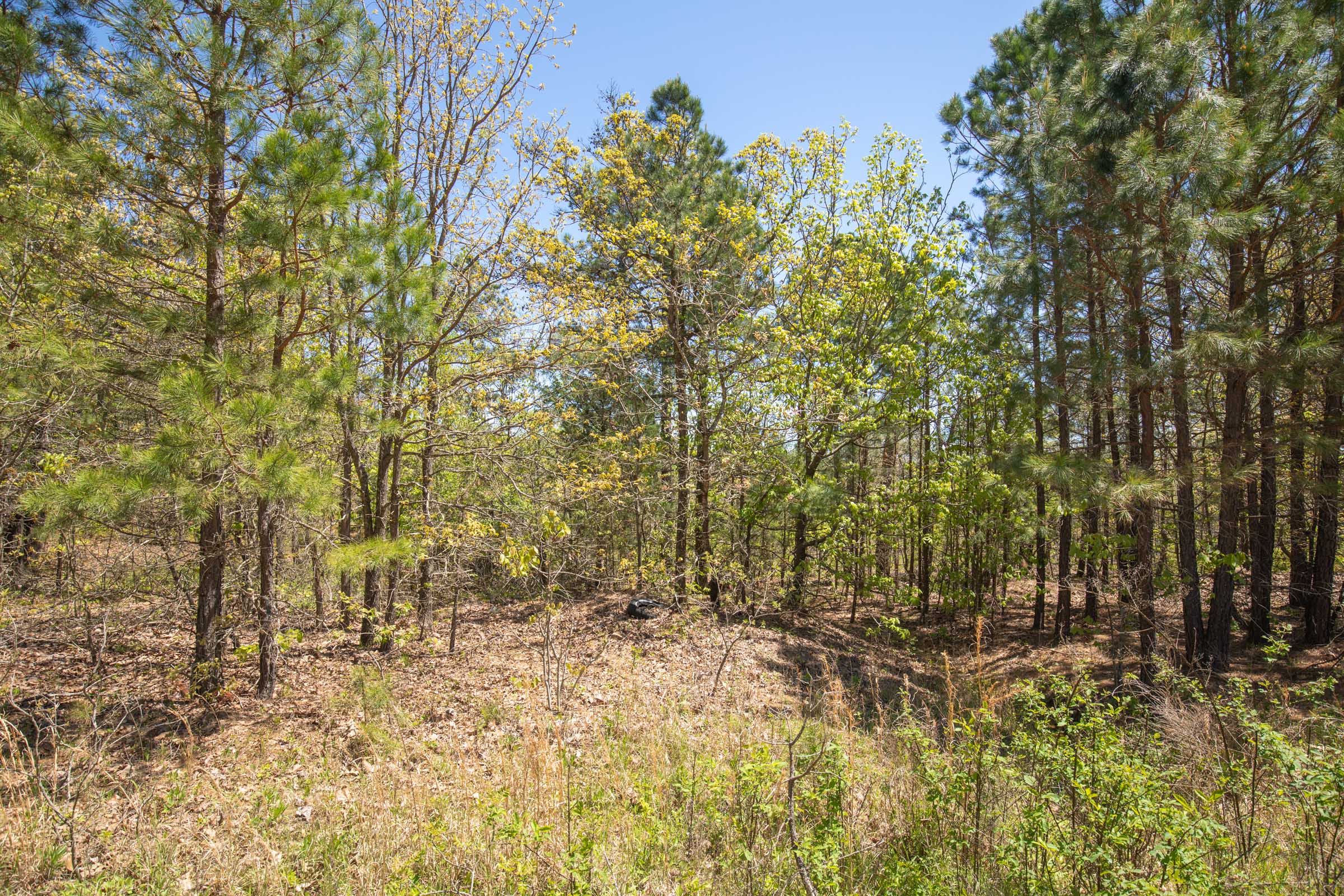 Tract 8 at Eagles Nest Ranch in Pushmataha County, Oklahoma