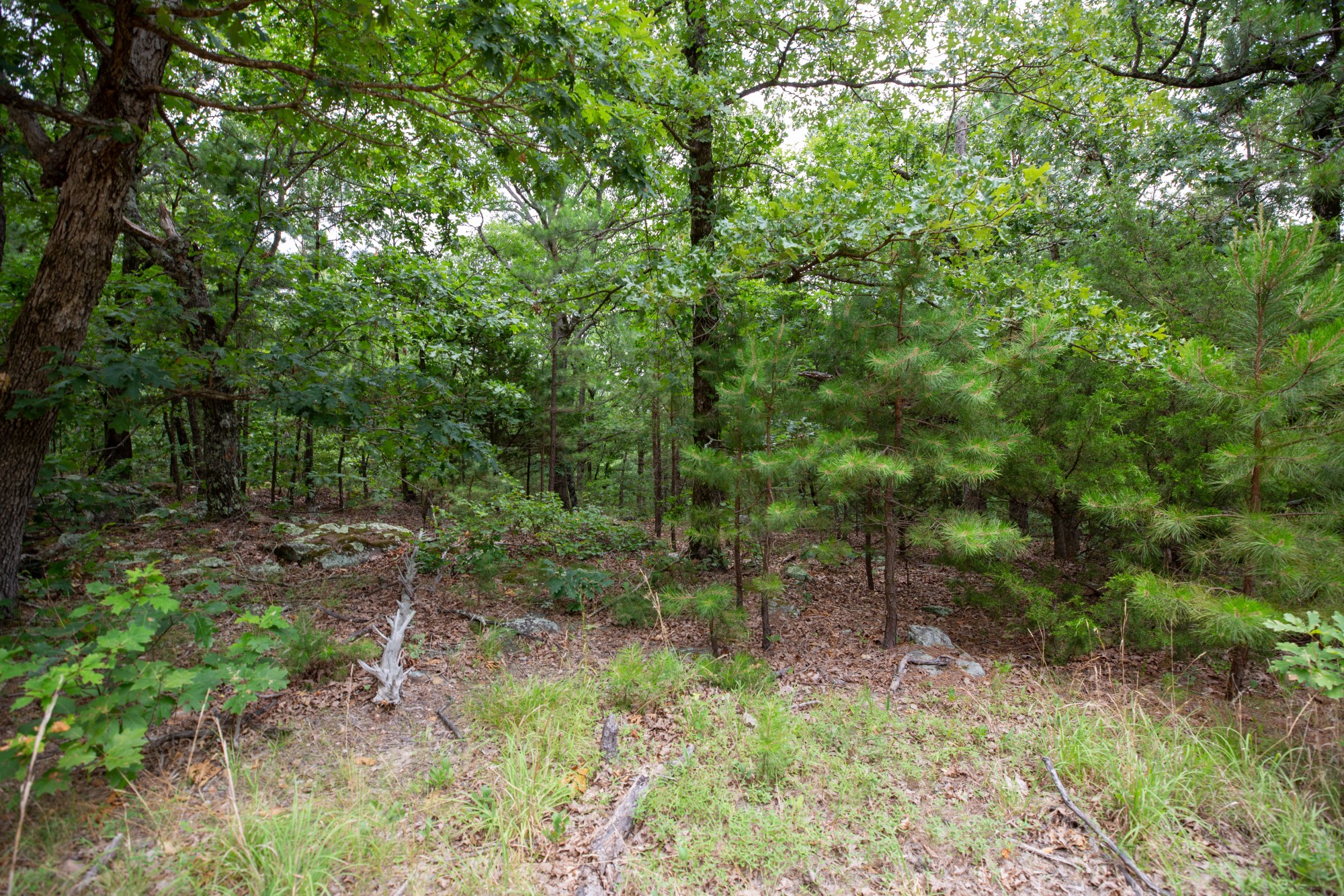 Tract 80 at Eagles Nest Ranch in Pushmataha County, Oklahoma