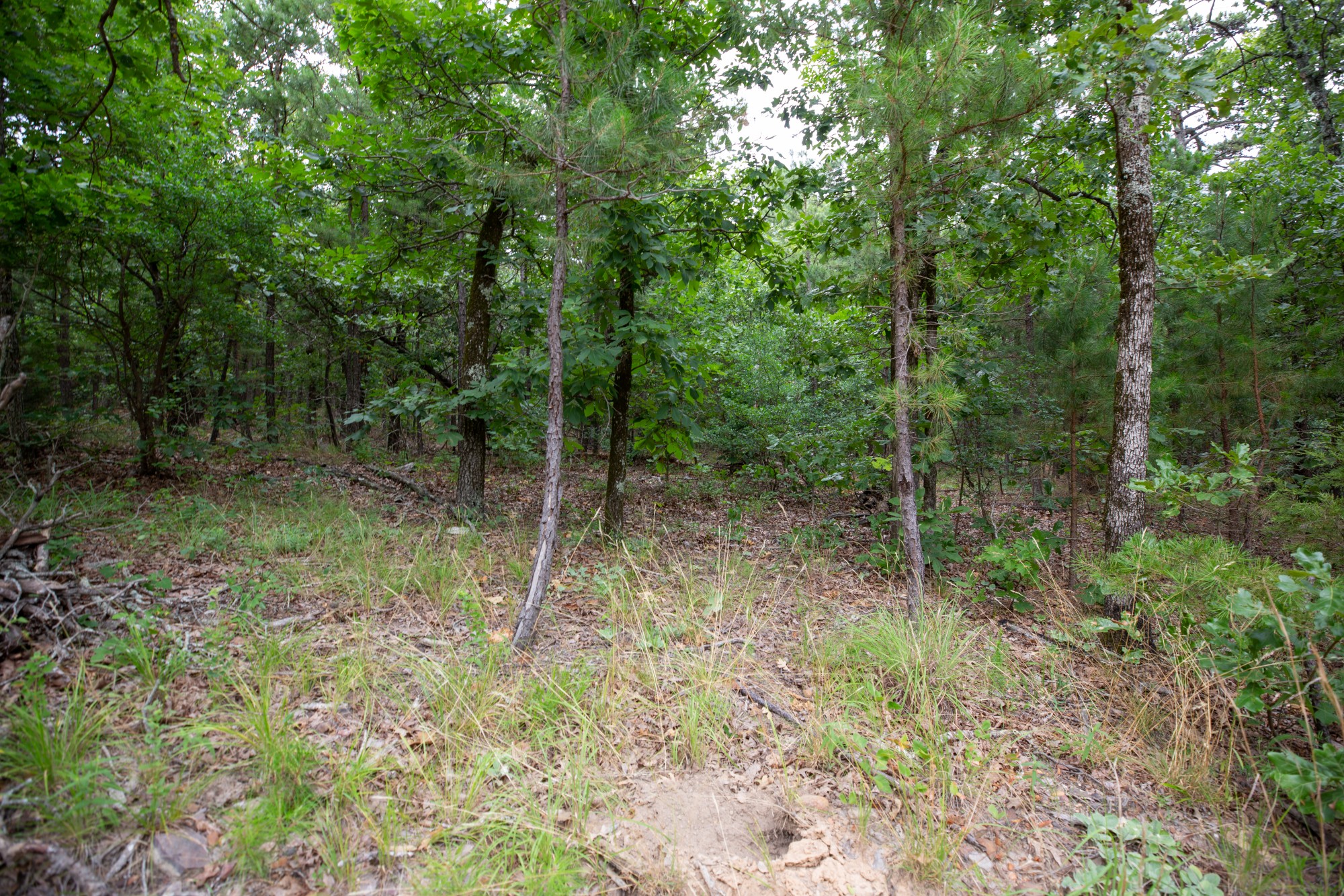 Tract 82 at Eagles Nest Ranch in Pushmataha County, Oklahoma