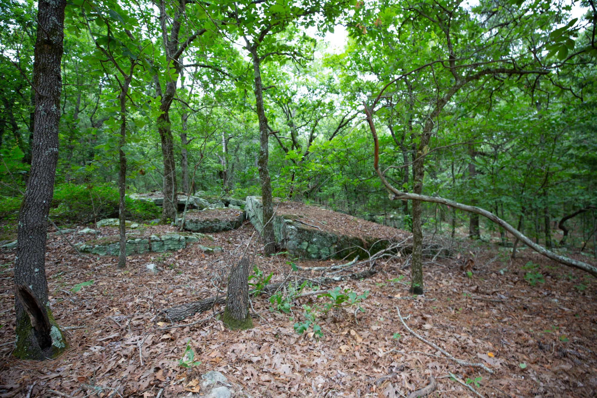 Tract 83 at Eagles Nest Ranch in Pushmataha County, Oklahoma