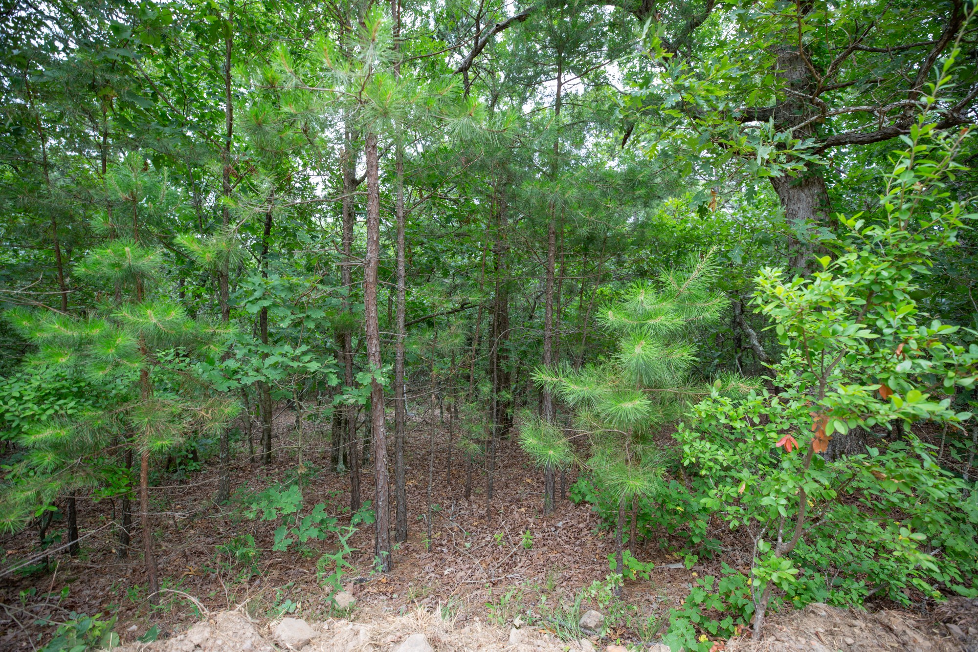 Tract 84 at Eagles Nest Ranch in Pushmataha County, Oklahoma
