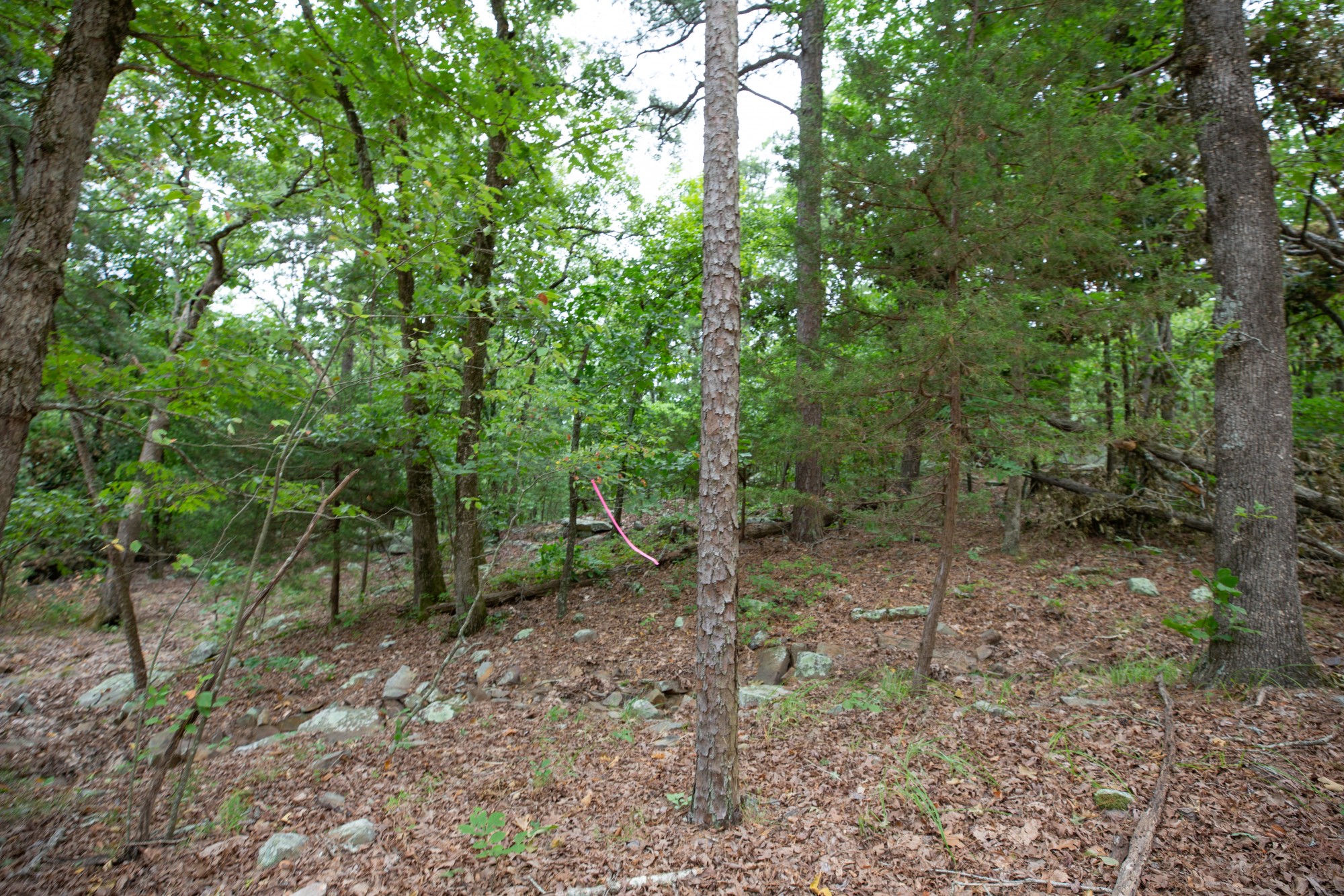 Tract 86 at Eagles Nest Ranch in Pushmataha County, Oklahoma