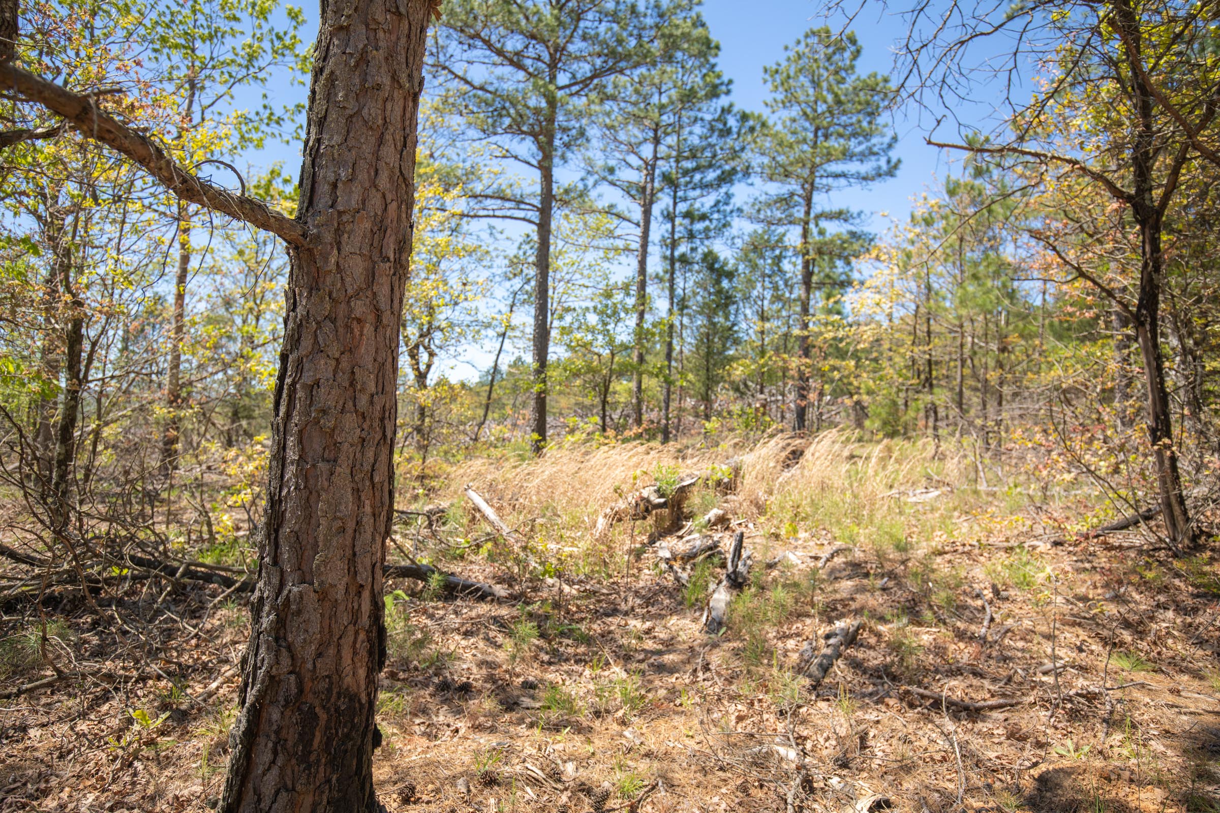 Tract 9 at Eagles Nest Ranch in Pushmataha County, Oklahoma